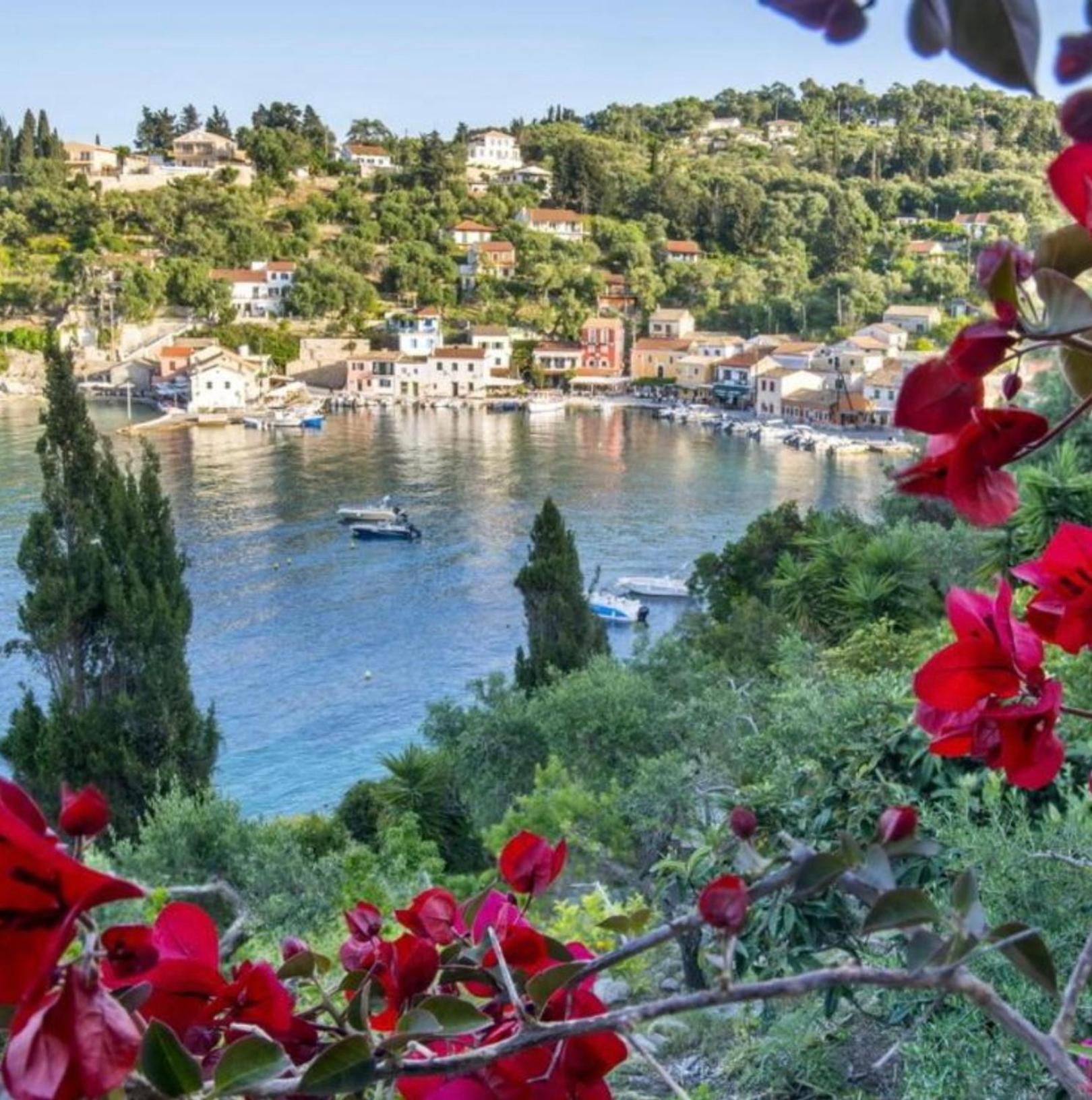 Aronis Spyros Panoramic Seaview Apartments Longós 外观 照片