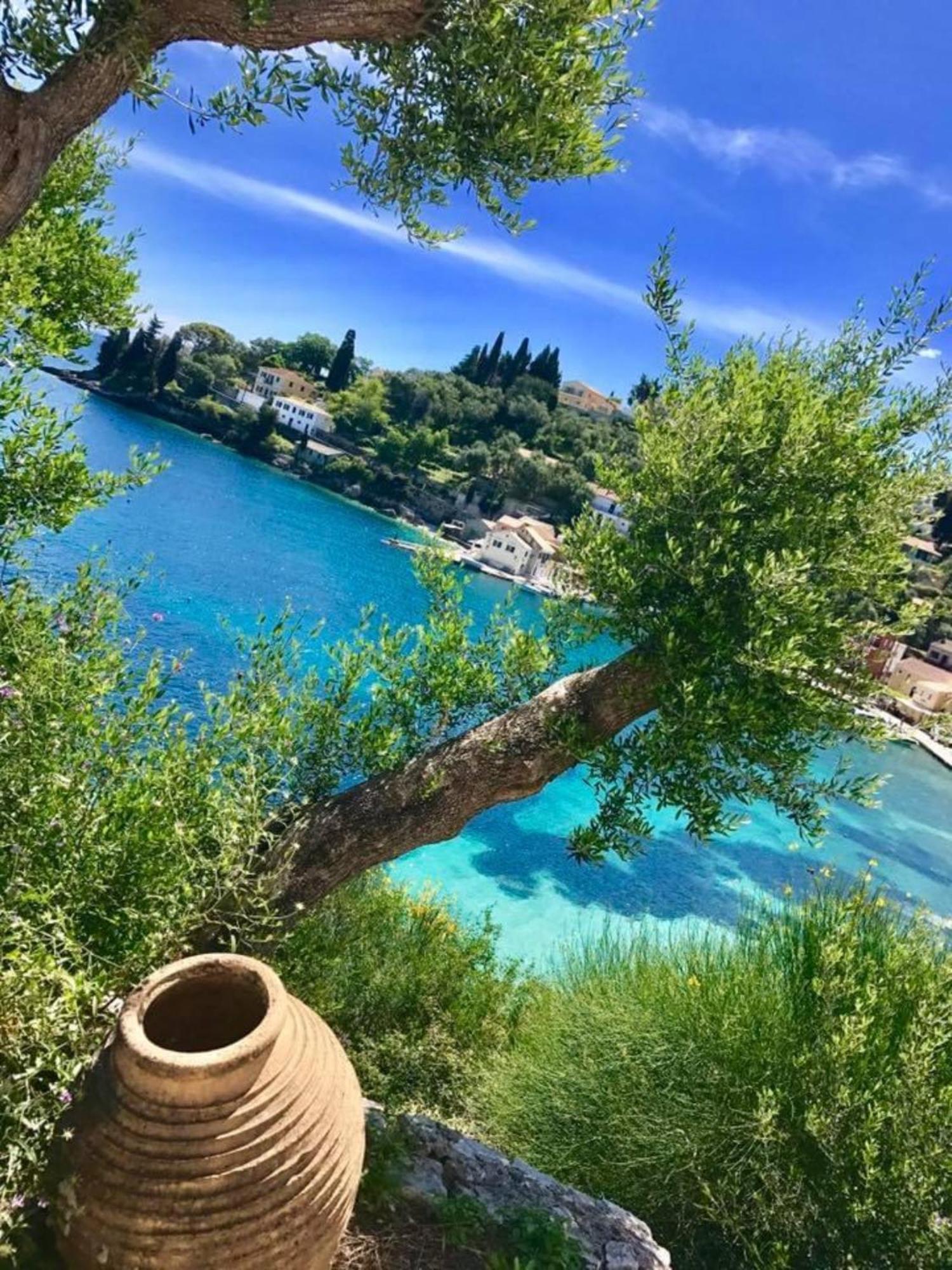 Aronis Spyros Panoramic Seaview Apartments Longós 外观 照片