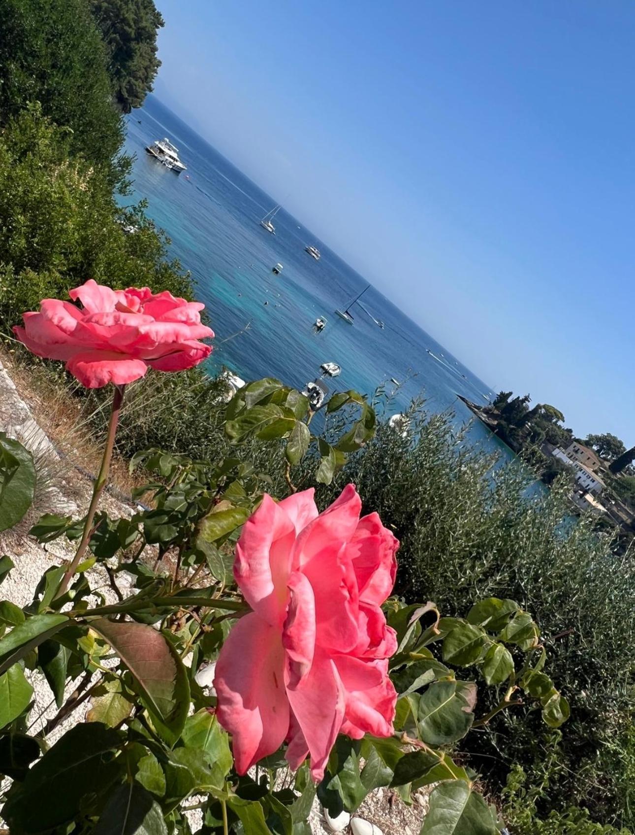 Aronis Spyros Panoramic Seaview Apartments Longós 外观 照片
